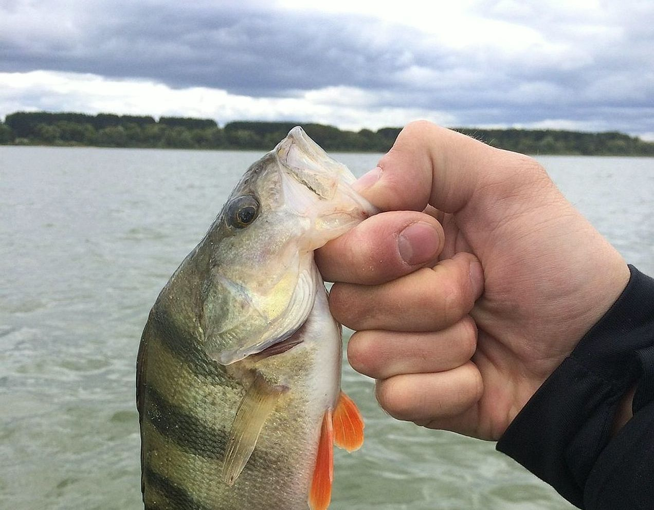 An angler checking weather conditions by the water