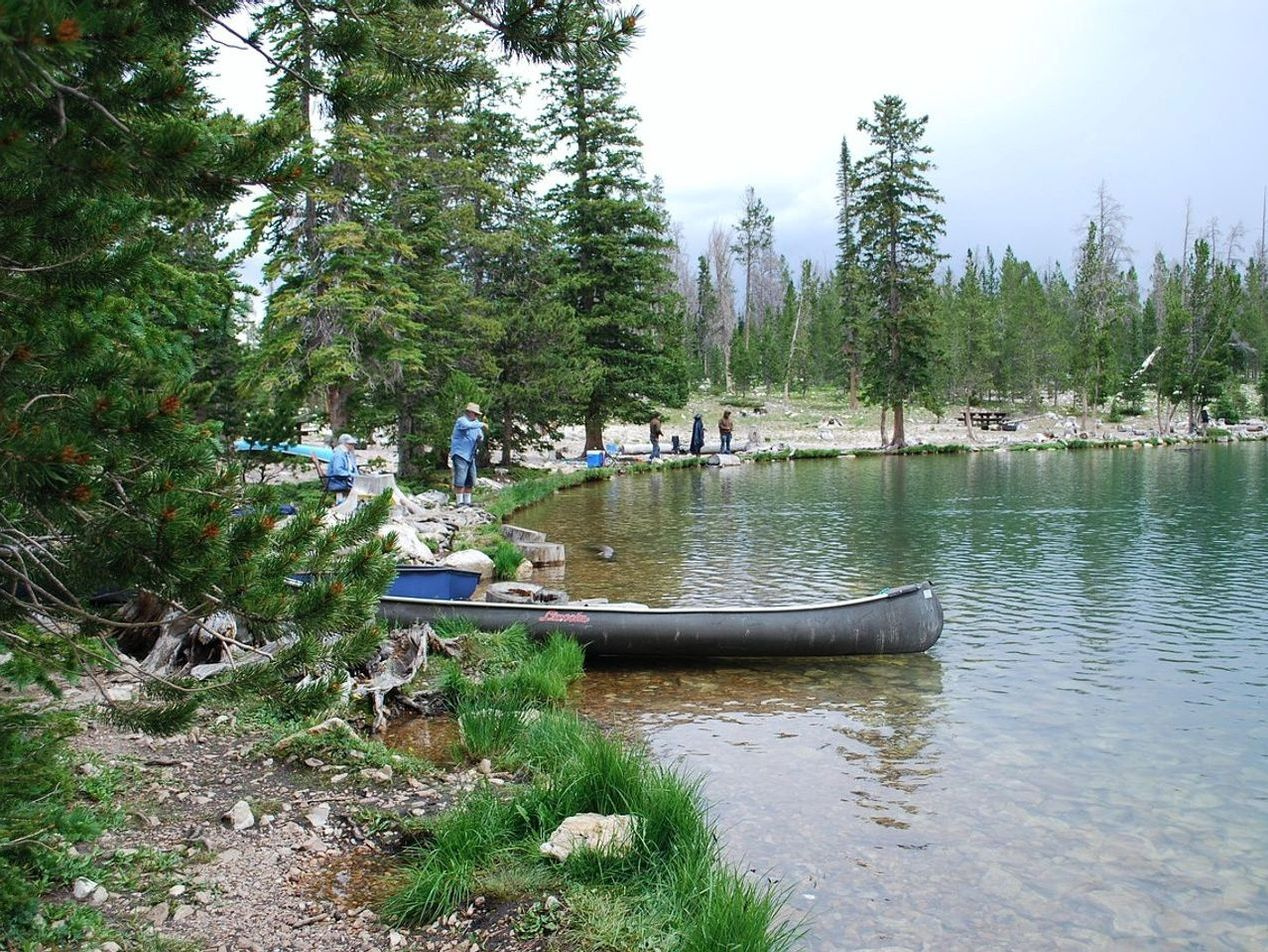 A freshwater river flowing clear over gravel